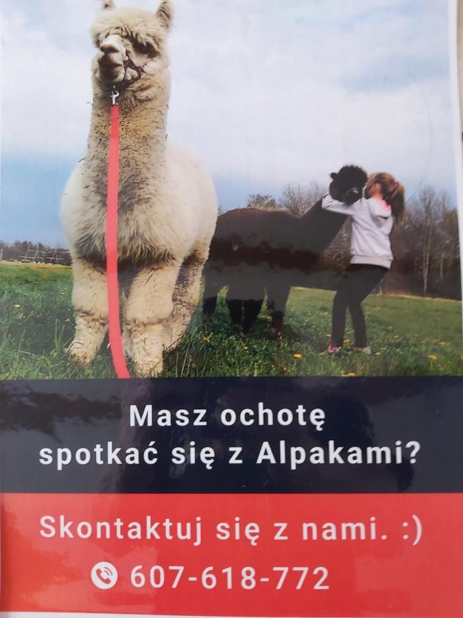 Gołdap Apartamenty Smaczek المظهر الخارجي الصورة