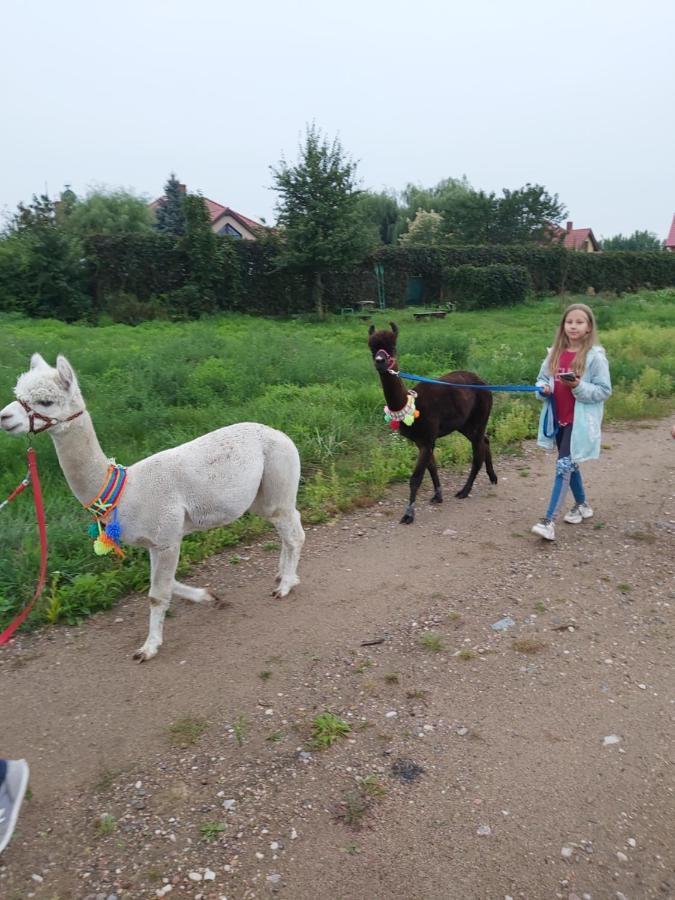 Gołdap Apartamenty Smaczek المظهر الخارجي الصورة